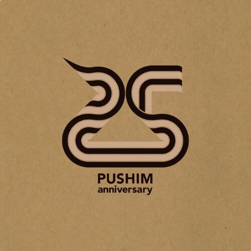限定300枚 完売品 PUSHIM You Said You Love Me PUSHIM ［ You said you love me / いつも君を観てる太陽