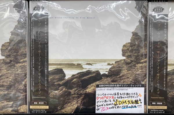 POLYGON WINDOW 伝説的IDM名盤が待望の再発!!!!!! SURFING ON SINE