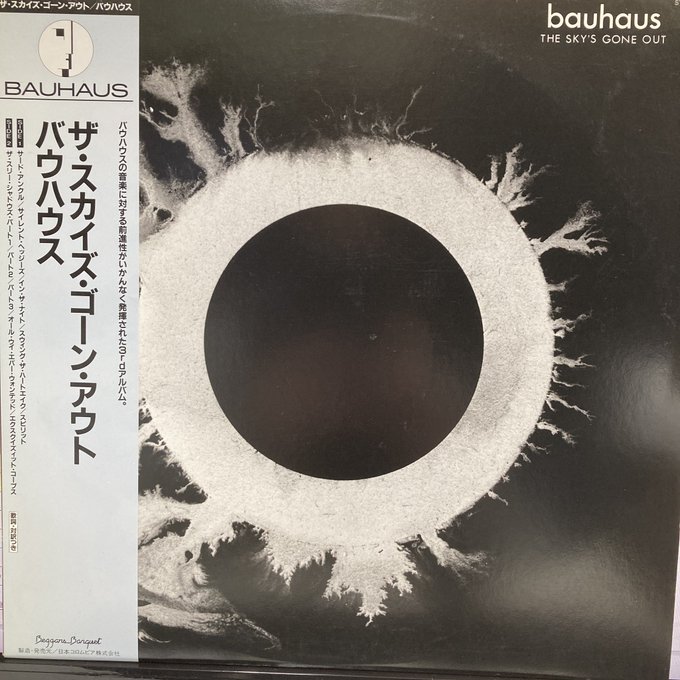 帯付LP】バウハウス Bauhaus/暗闇の天使 In The Flat Field【並良品