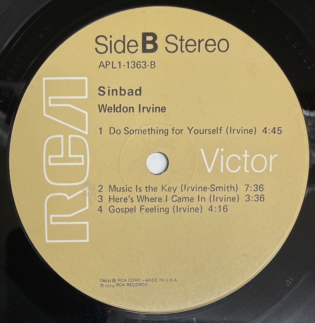 中古レコード/SOUL/RARE GROOVE】WELDON IRVINE / SINBAD (RCA / APL1