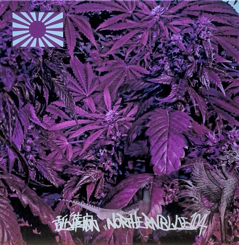 12/21(日)中古レコード入荷情報!!】【J-HIPHOP】舐達麻 /NORTHERNBLUE