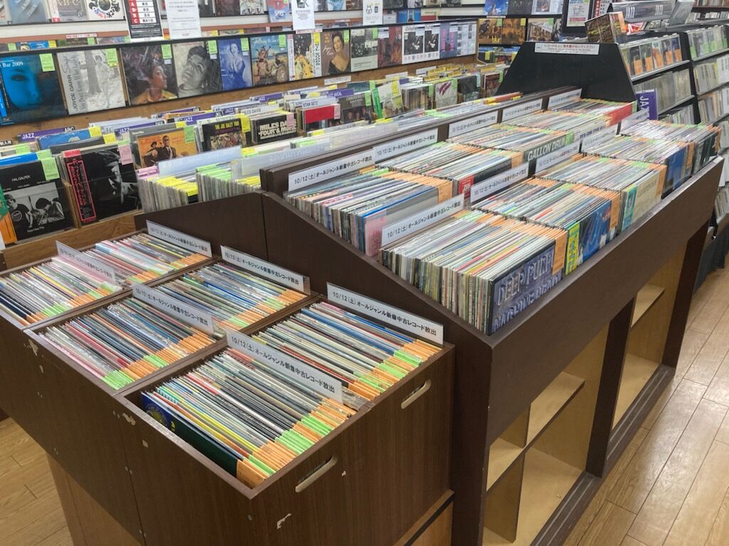 野本かりあ 12” 7”セット 2025年最新】野本かりあの人気アイテム