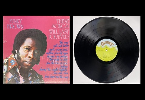 USED/SOUL/ソウル】在庫あり・通販可 ｜FUNKY BROWN / THESE SONGS