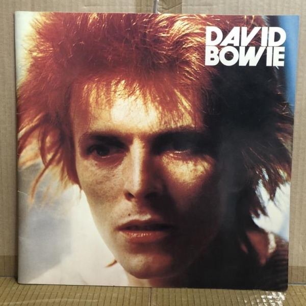 希少 デビッド・ボウイー ビー・マイ・ワイフ DAVID BOWIE 国内盤 Amazon.co.jp: David Bowie [12 inch Analog]: ミュージック