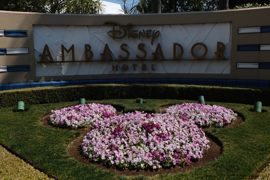 初バケパ9 アンバサダーホテル ドナルドダックルーム03 16 プルート色の日々