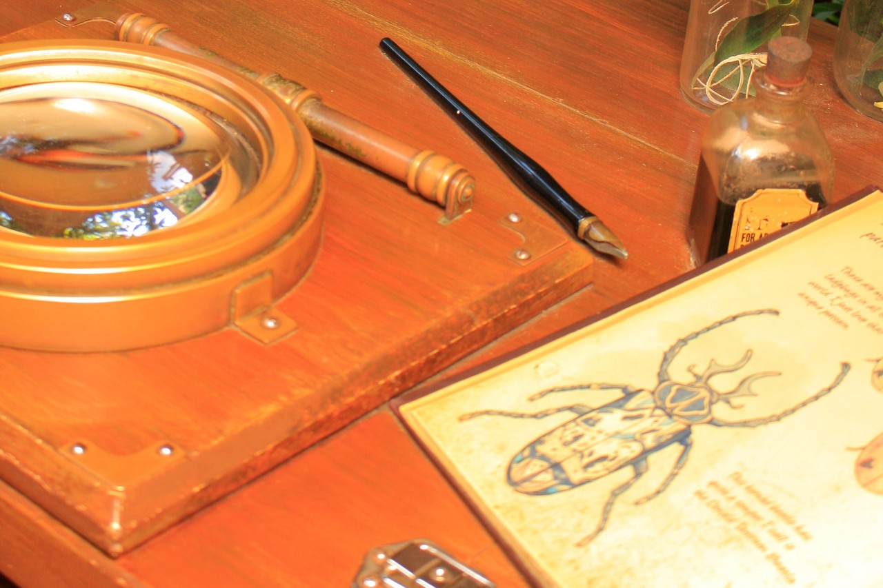 どこかで見た言葉 違う国に行っても 自分の家は忘れないミニー Disney S Imagination Blog どこかで見た言葉 違う国に行っても 自分の家は忘れないミニー Disney S Imagination Blog