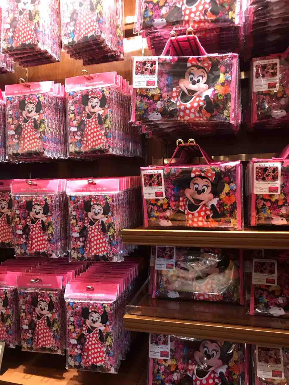 ヲタ殺し Imagining The Magic最新作 蜷川実花さんとコラボした実写クリアファイル ミニーちゃん Tdrステーション