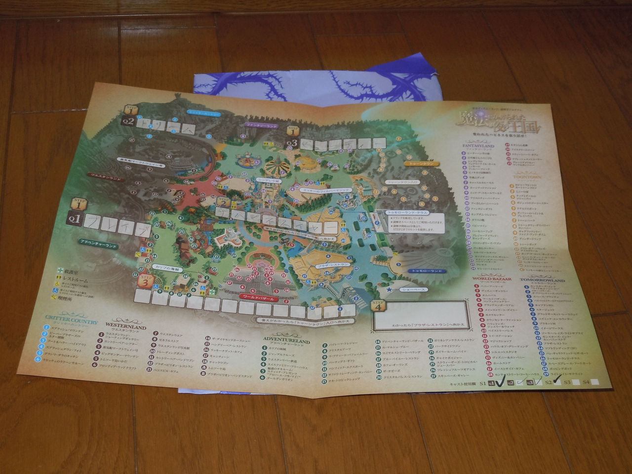 魔法にかけられた夜の王国 奪われたハピネスを取り戻せ Disney Darake Diary