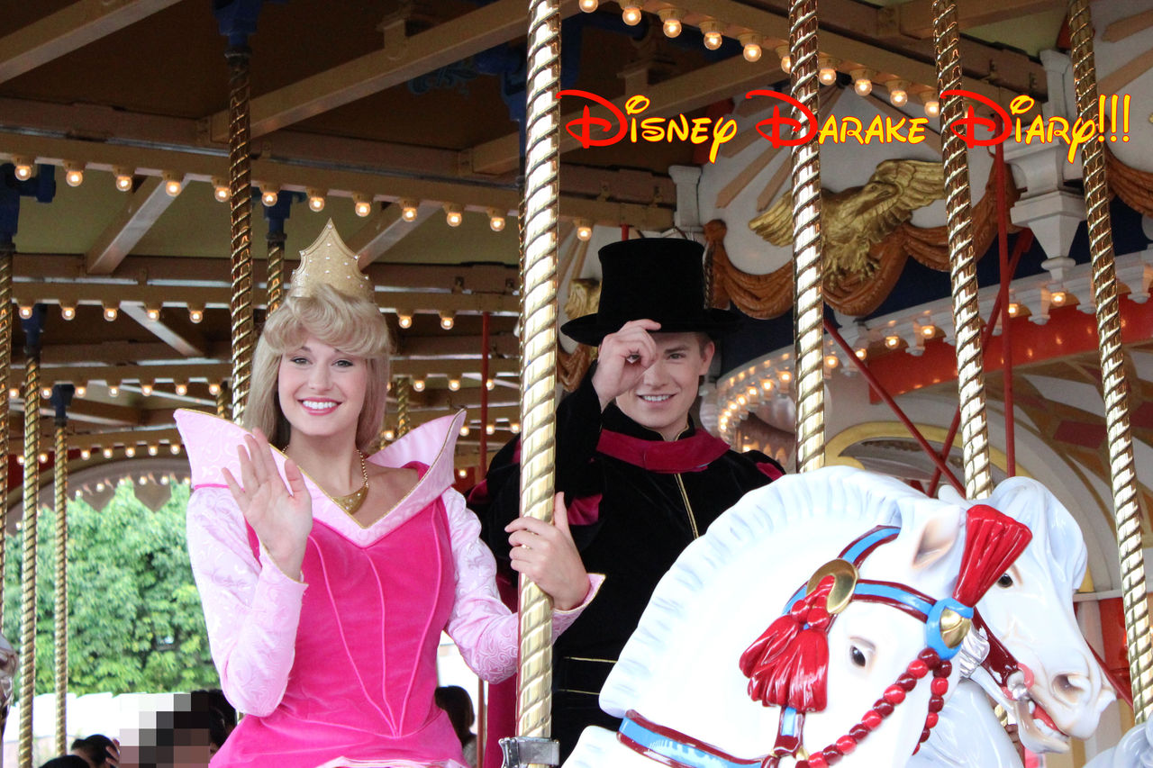 キャッスルカルーセルでの出来事 Disney Darake Diary キャッスルカルーセルでの出来事 Disney Darake Diary