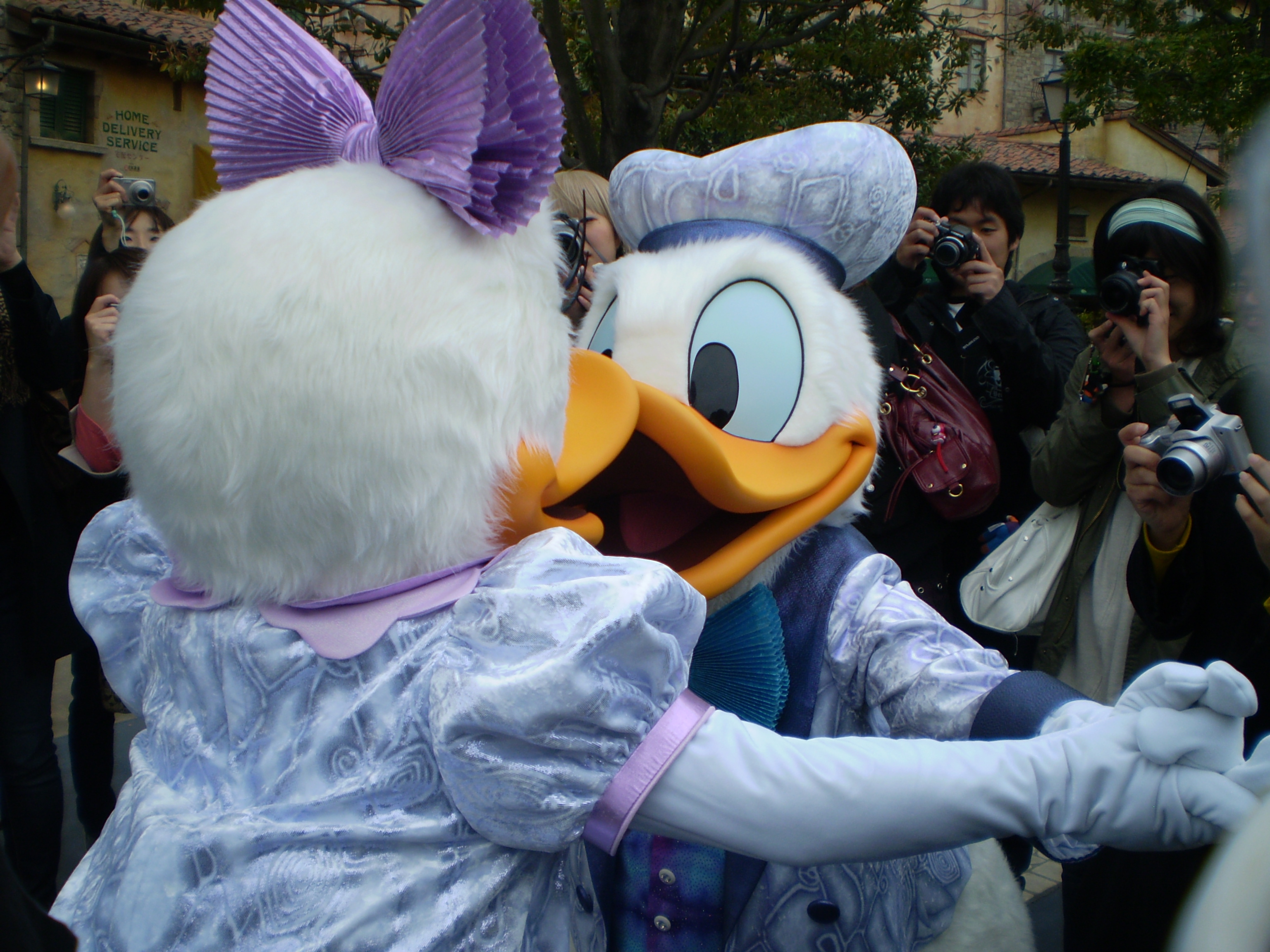 初めての Disney Dreams