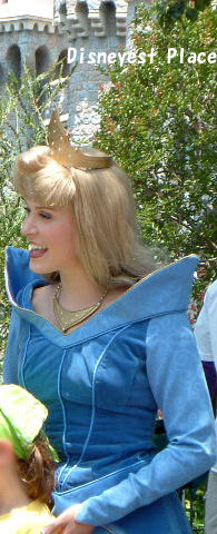 アナハイム旅行03年6月 ７ Disneyest Place