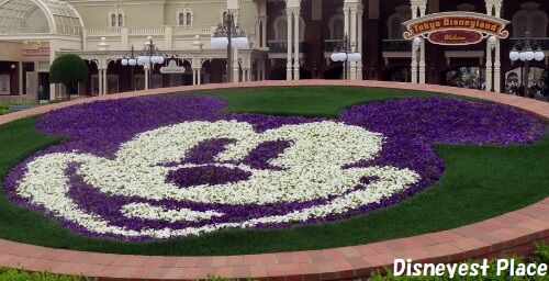 ランドの植栽 前編 Disneyest Place