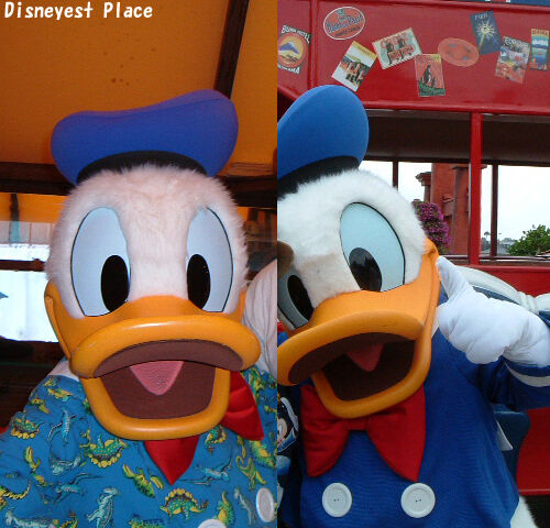 ドナルドとデイジーの昔の写真 : Disneyest Place