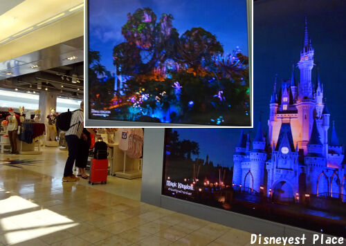 ｗｄｗ いろいろ Disneyest Place