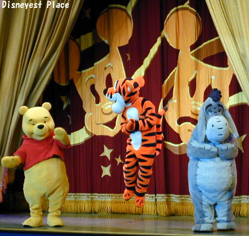 プーさんのハニーハント周年 Disneyest Place