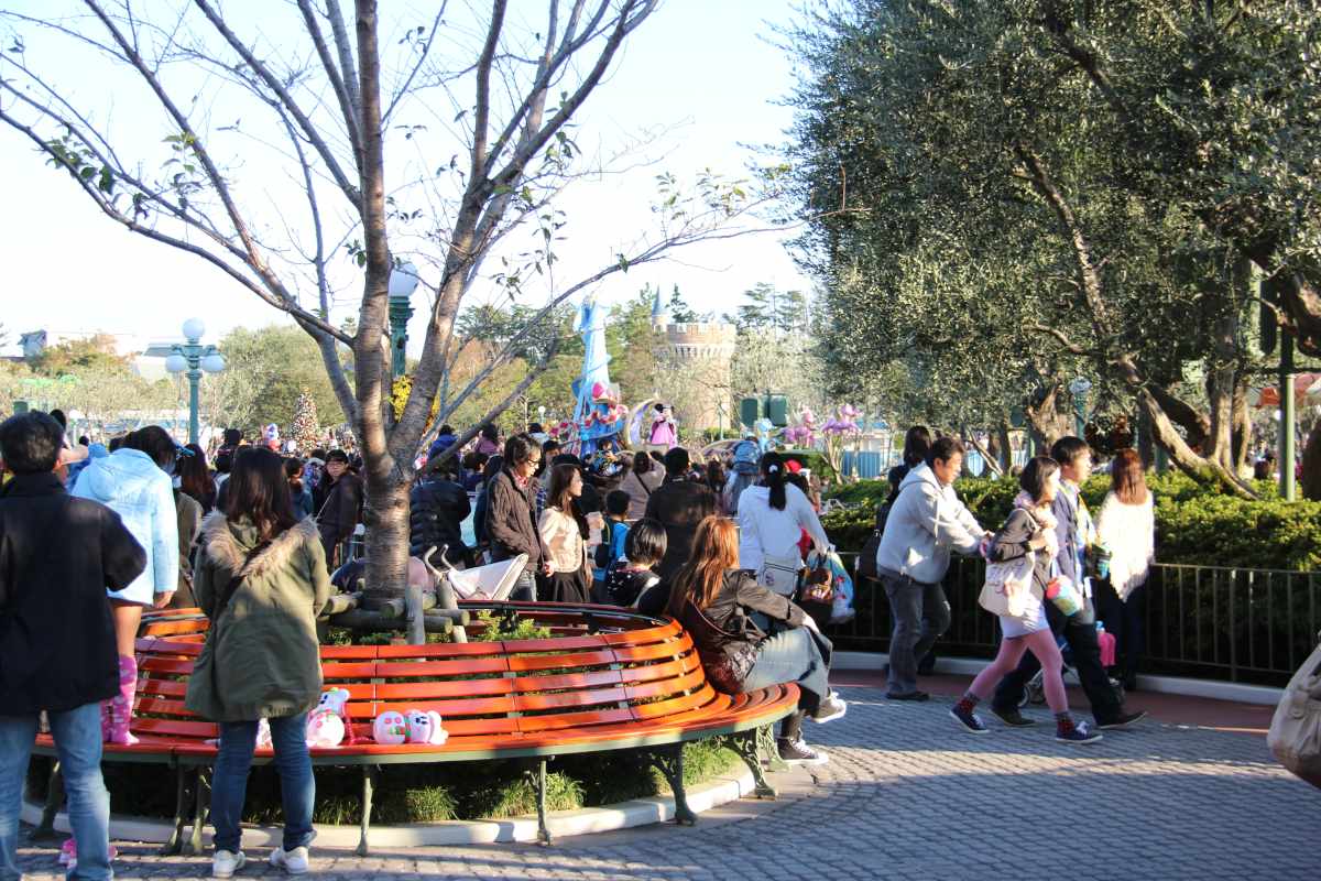 ディズニーランドの各レストランからどれくらいパレードが見えるか検証してみた 雑記 ディズニーごはん