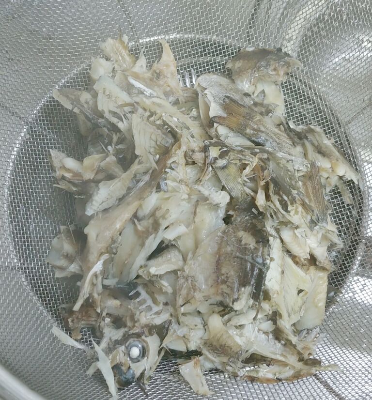海で遊部日記 暖かくなってきたから海釣りへ ハコフグ アイゴ カメノテ 色々料理 トレジャーハンティン部 部長のブログ