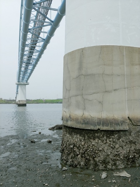 IMG03818