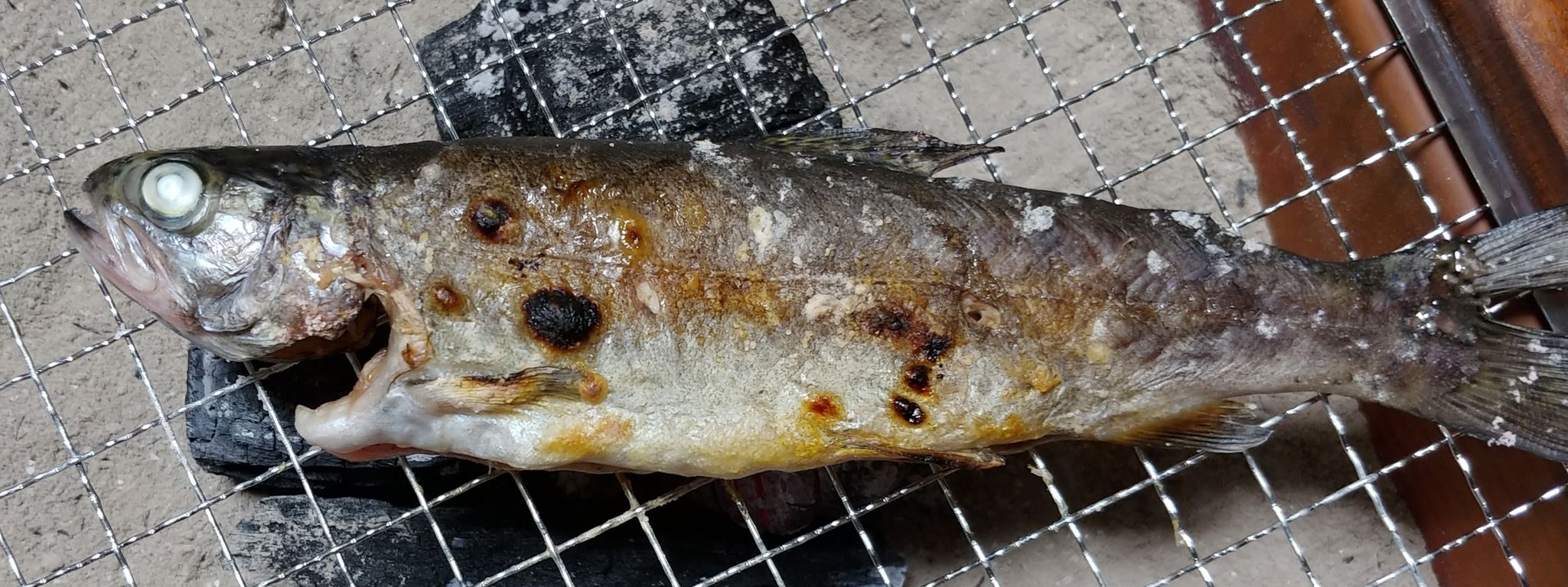 日記 囲炉裏の炭火に魅了されて憧れの火鉢を導入してみた トレジャーハンティン部 部長のブログ