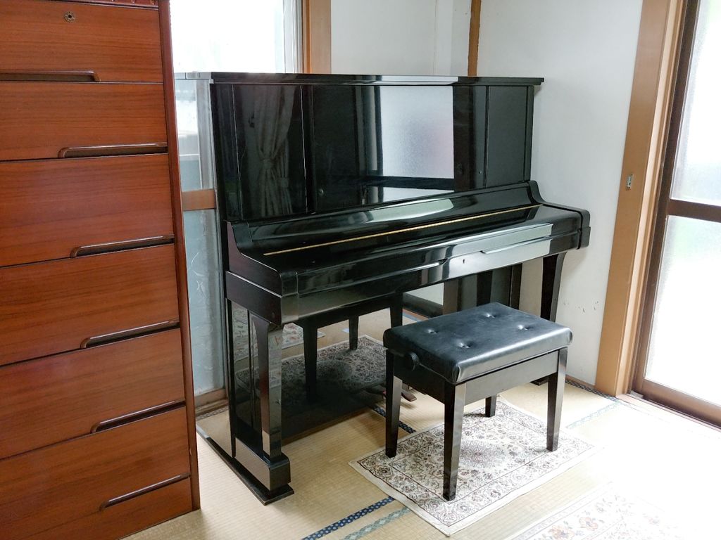 日記 家に新たに筐体コーナーを作ってみた トレジャーハンティン部 部長のブログ