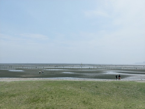 IMG03810