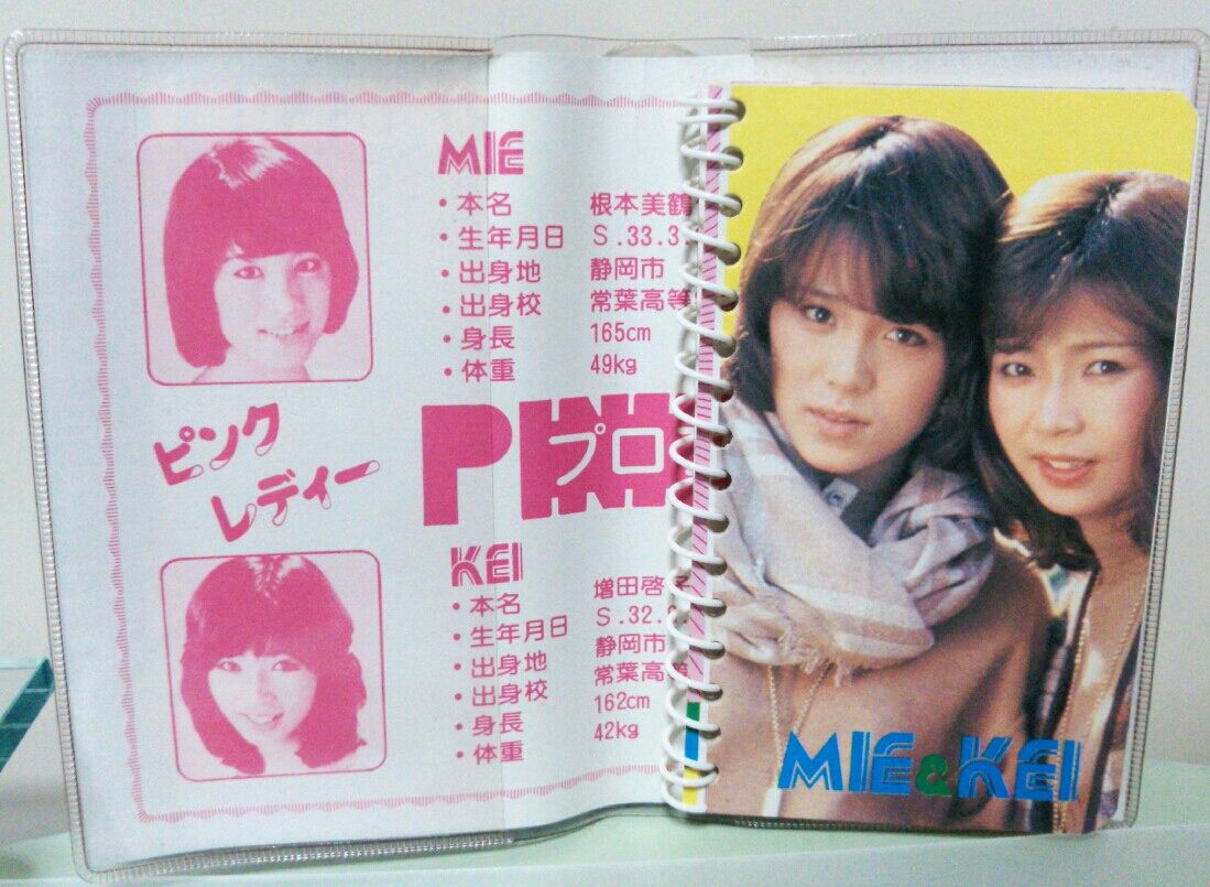 超珍品!! ピンクレディー ビニパス メモつき ミツカン 昭和レトロ