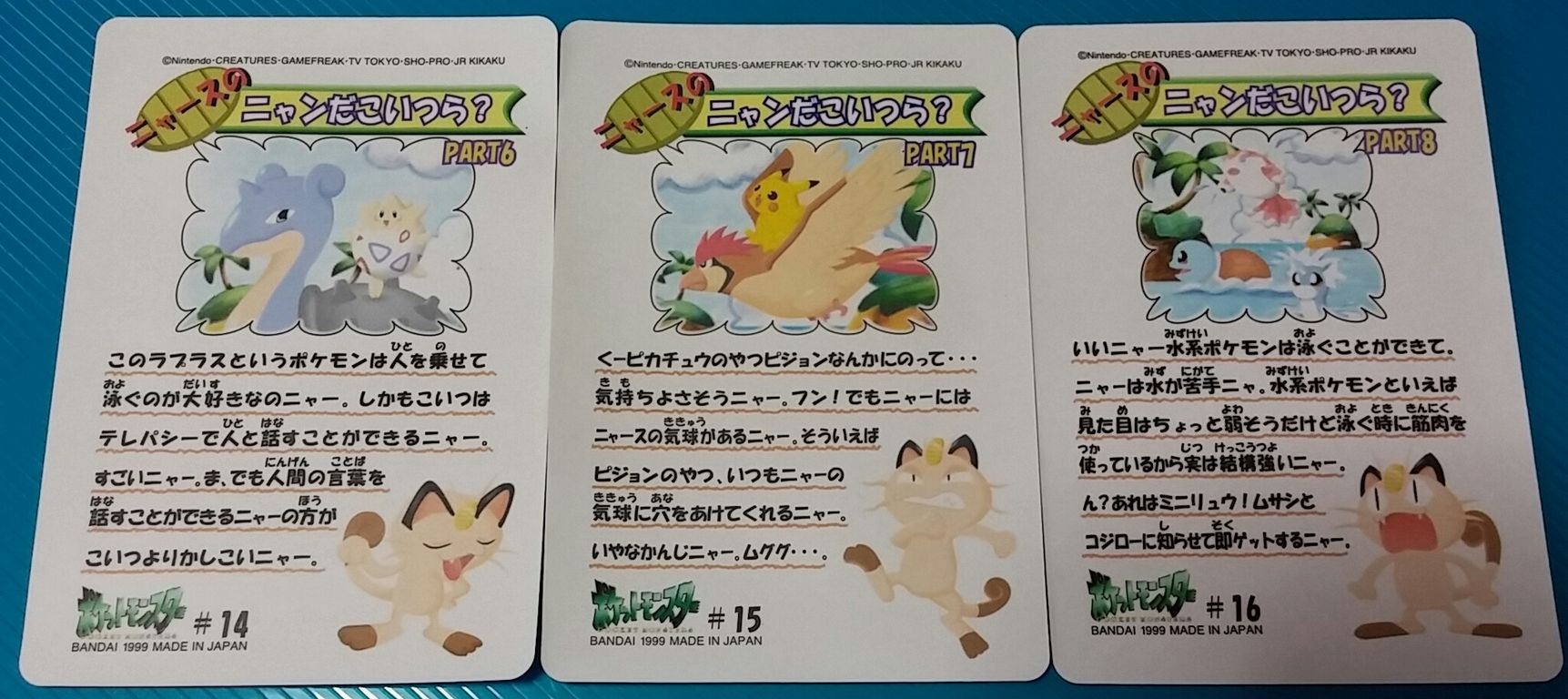 シールダス ポケットモンスター ファンシーグラフィティ ポケモン