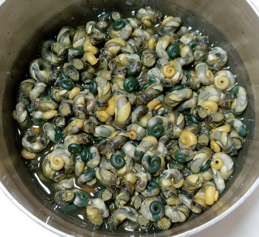 海で遊部日記 8月の活動 釣りと料理 トレジャーハンティン部 部長のブログ