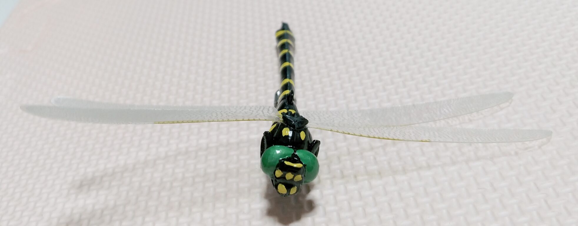 デカっ！Σ(ﾟﾛﾟ;) バンダイ 生物探検隊 虫編 食玩 オニヤンマ スマトラ