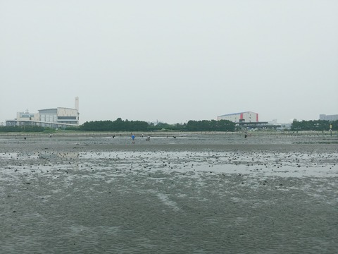 IMG00002