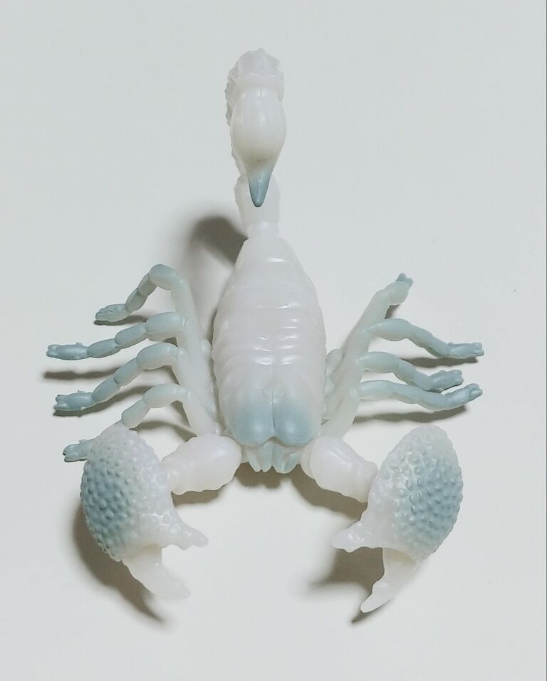 ガチャガチャ サソリ2 組み立てキット レビュー 蓄光 フィギュア ガチャガチャ サソリ2 組み立てキット レビュー 蓄光 フィギュア