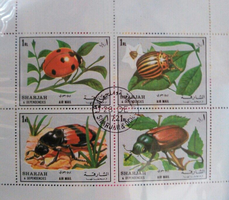 マルホ 世界の昆虫切手 数字合わせ : トレジャーハンティン部、部長の