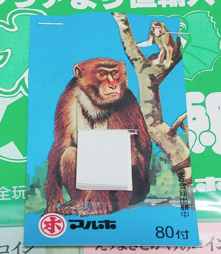 マルホ 爆発的人気 エリマキトカゲ コイン台紙 数字合わせ 駄菓子屋