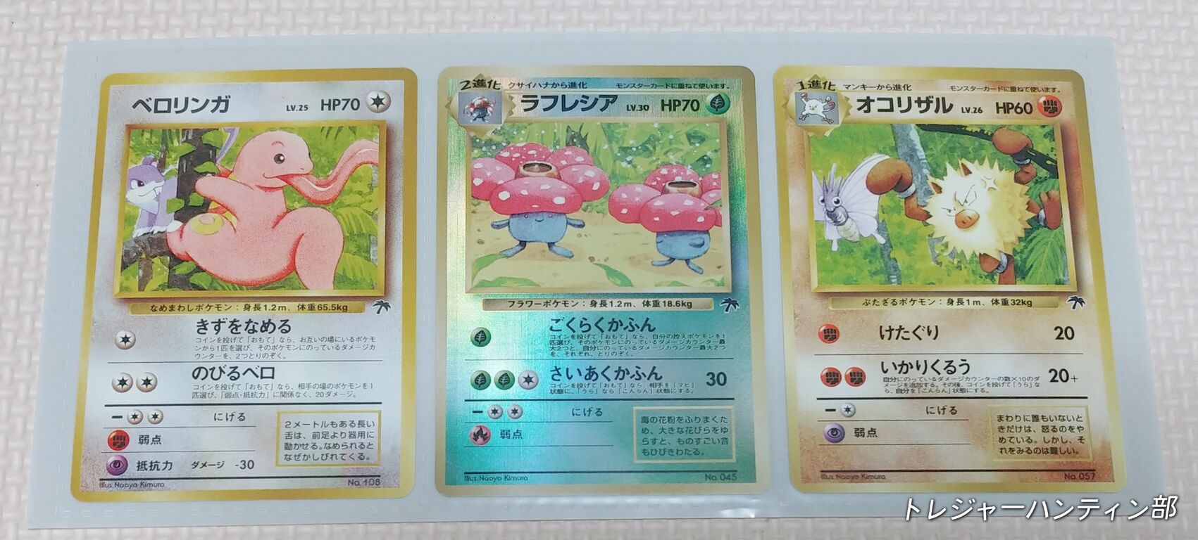 1998年 ポケットモンスター カードゲーム サザンアイランド 1998年 ポケットモンスター カードゲーム サザンアイランド