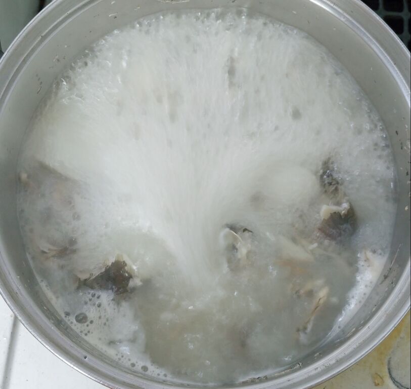 海で遊部日記 暖かくなってきたから海釣りへ ハコフグ アイゴ カメノテ 色々料理 トレジャーハンティン部 部長のブログ