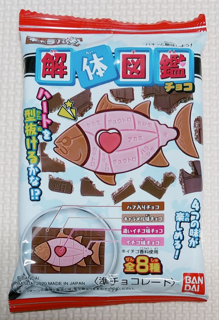 美味しいし楽しい バンダイ キャラパキ 発掘恐竜チョコ 解体図鑑 スーパーマリオ ポケモン 型抜き トレジャーハンティン部 部長のブログ 美味しいし楽しい バンダイ キャラパキ 発掘恐竜チョコ 解体図鑑 スーパーマリオ ポケモン 型抜き トレジャーハンティン部 部長のブログ