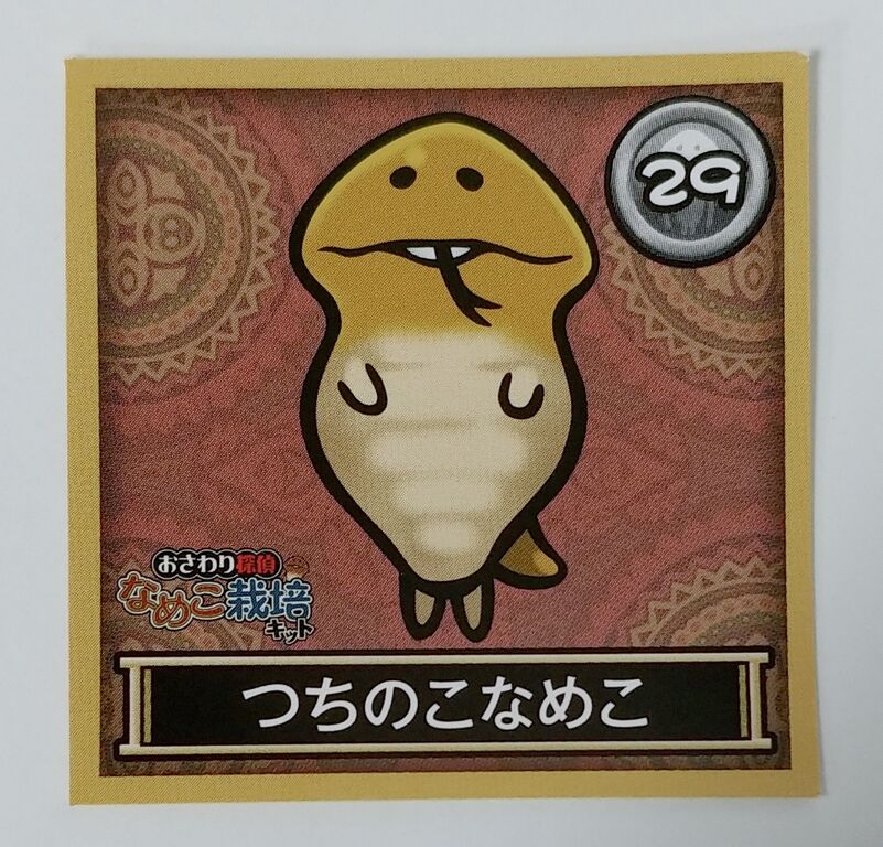 エンスカイ おさわり探偵なめこ栽培キット なめこれくしょんしー
