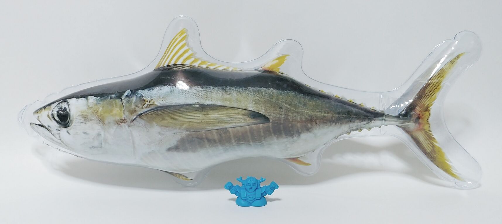 海に纏わるガチャガチャ商品を色々購入してみた トレジャーハンティン部 部長のブログ 海に纏わるガチャガチャ商品を色々購入してみた トレジャーハンティン部 部長のブログ