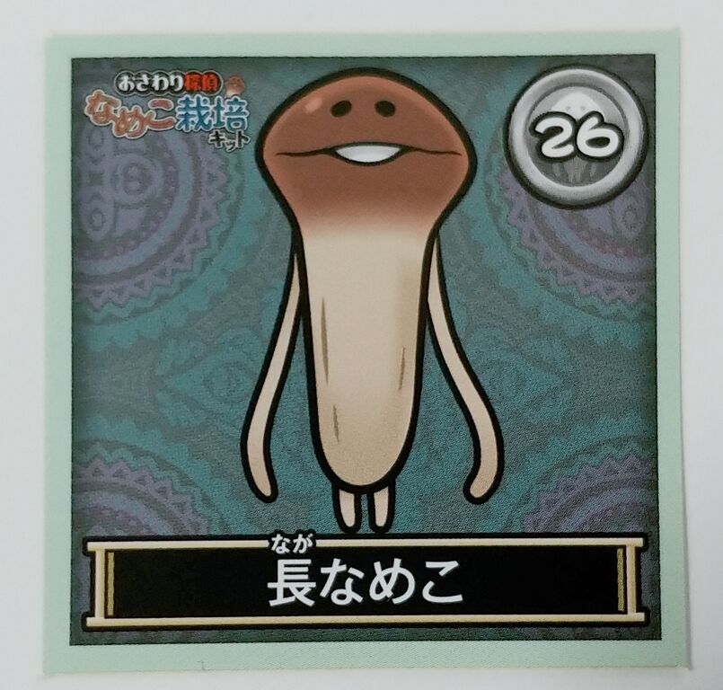 エンスカイ おさわり探偵なめこ栽培キット なめこれくしょんしー エンスカイ おさわり探偵なめこ栽培キット なめこれくしょんしー