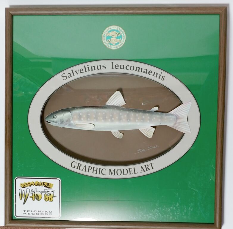 ウキウキ釣り天国 川物語 グラフィックモデルアート 岩魚 ゲーム