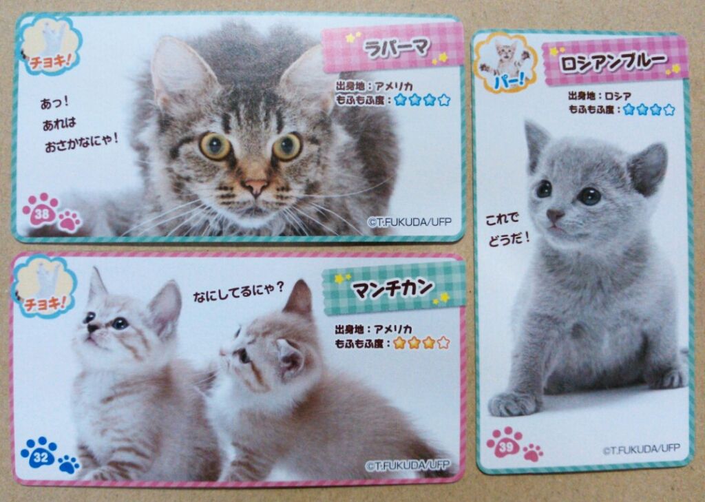 きまぐれねこにゃん クランチチョコレート ねこのカード入り 正栄