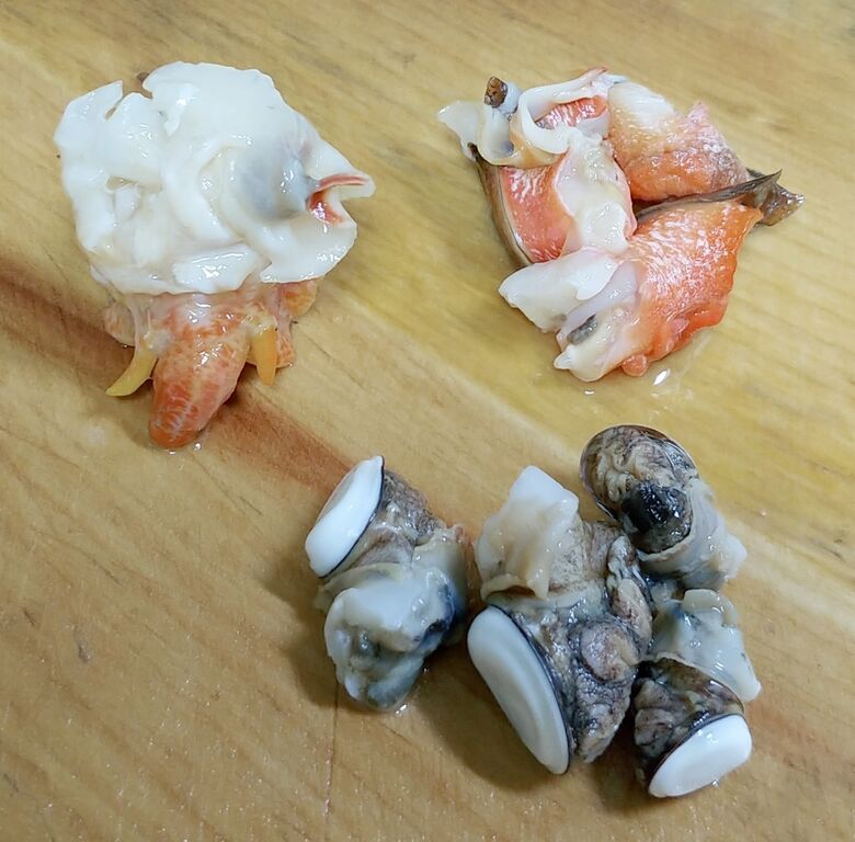 海で遊部日記 初めての食材を色々調理 マトウダイ カナガシラ ほら貝 夜泣き貝 トレジャーハンティン部 部長のブログ 海で遊部日記 初めての食材を色々調理 マトウダイ カナガシラ ほら貝 夜泣き貝 トレジャーハンティン部 部長のブログ