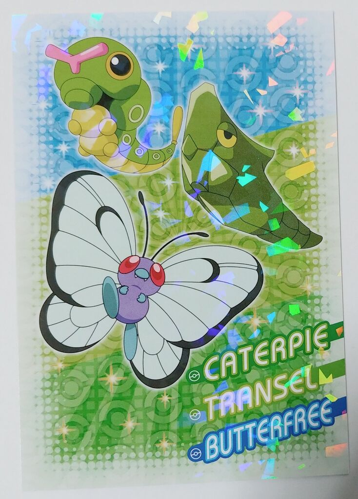 エンスカイ 劇場版 ポケットモンスター 君にきめた！ ポケモン