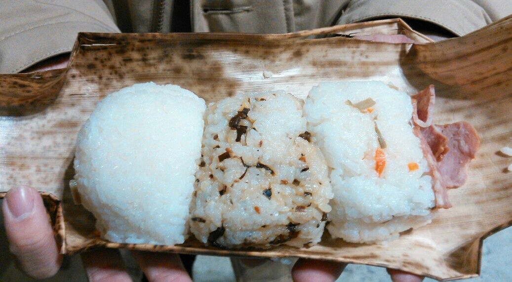 ワンダーフェスティバル15年 冬 トレジャーハンティン部 部長のブログ