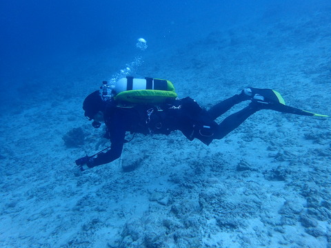 40FFB14D-1182-4EF1-BE42-432D70984158