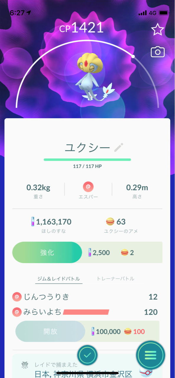 ポケモンgoプレイ日記ブログ