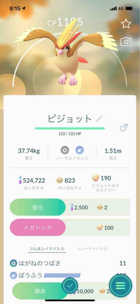 メガピジョットメガレイド ポケモンgoプレイ日記ブログ