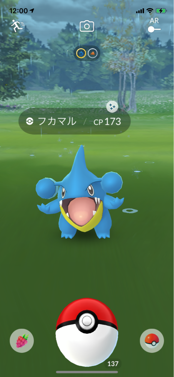フカマルコミュニティデイ ポケモンgoプレイ日記ブログ フカマルコミュニティデイ ポケモンgoプレイ日記ブログ