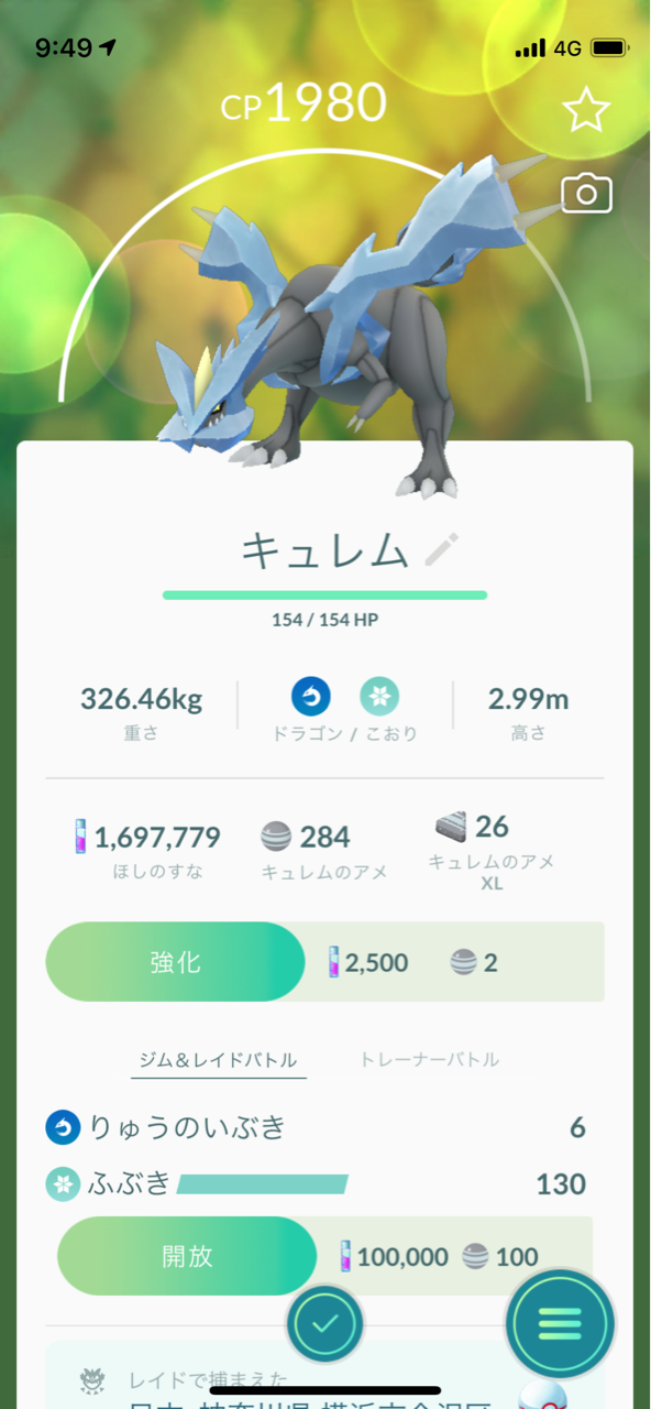 キュレムレイド ポケモンgoプレイ日記ブログ キュレムレイド ポケモンgoプレイ日記ブログ