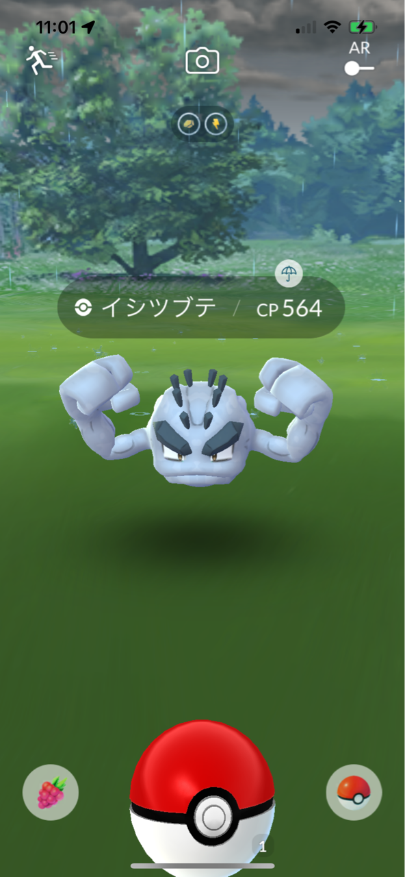 アローライシツブテコミュニティデイ ポケモンgoプレイ日記ブログ アローライシツブテコミュニティデイ ポケモンgoプレイ日記ブログ